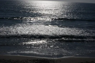 DSC_6946 (Large).JPG